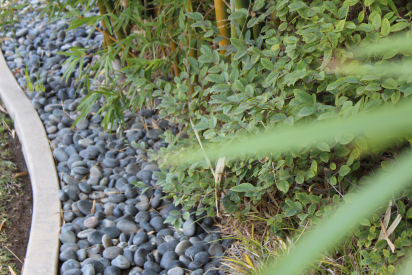 Black-Mexican-Beach-Pebbles-10