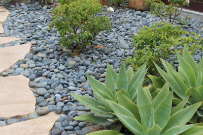 Black-Mexican-Beach-Pebbles-13