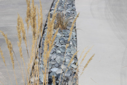 Black-Mexican-Beach-Pebbles-16