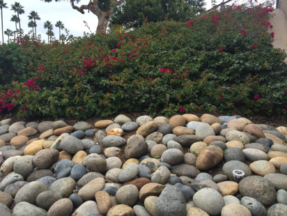 Buff-Beach-Pebble-8