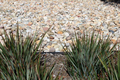 Buff-Beach-Pebble