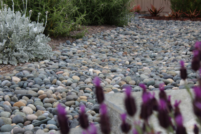 Mixed-Mexican-Beach-Pebble-6