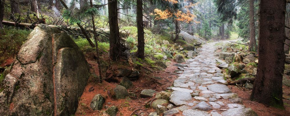 Tips for using boulders in landscape design