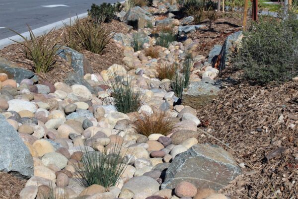 Curran Cobble