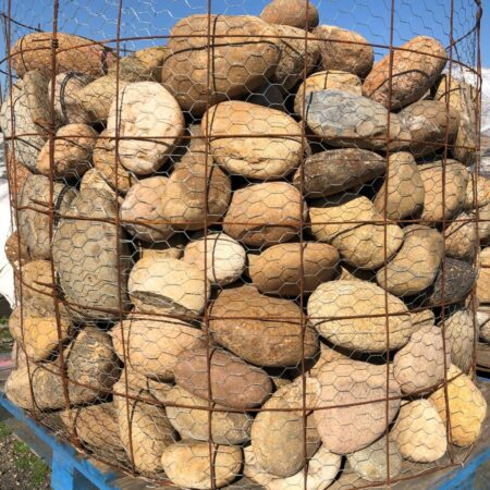 Curran-Cobble-6-10
