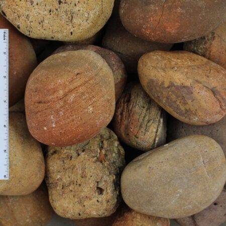 Mexican Sunburst Pebble