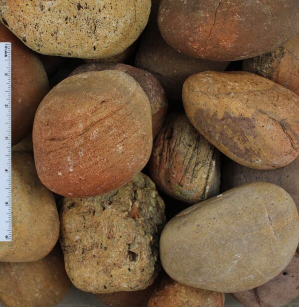Mexican Sunburst Cobble