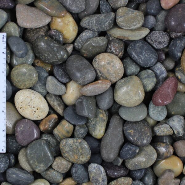 Polished Mixed Mexican Beach Pebble .5-1