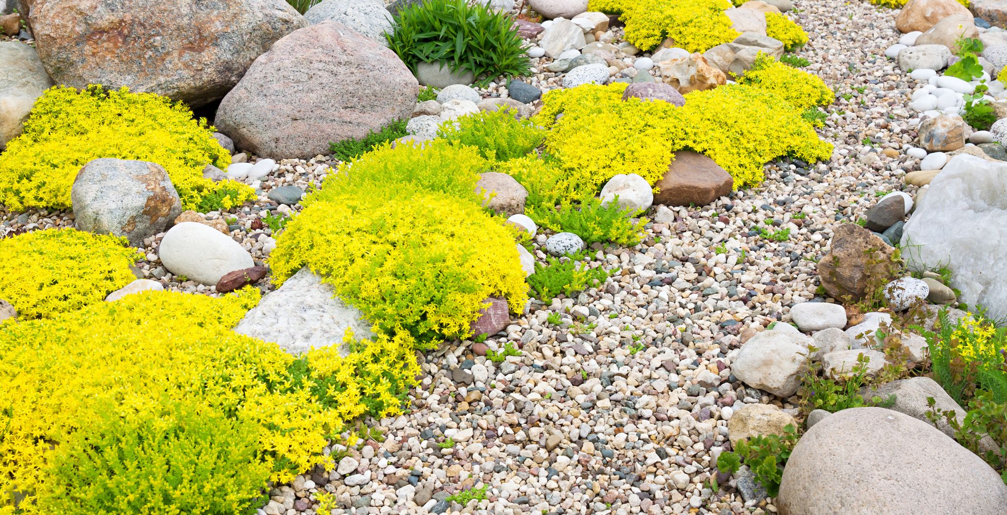 Best Landscaping Rocks