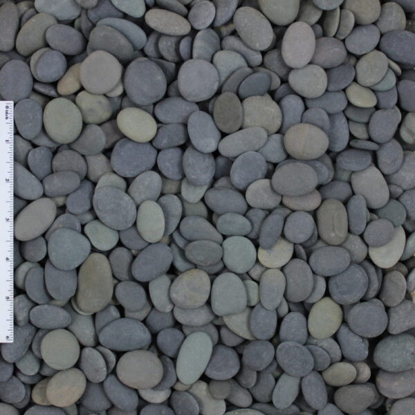 WSS Black Beach Buttons