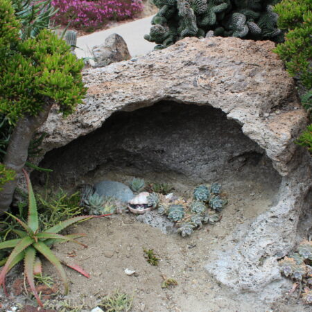 Pot Rock