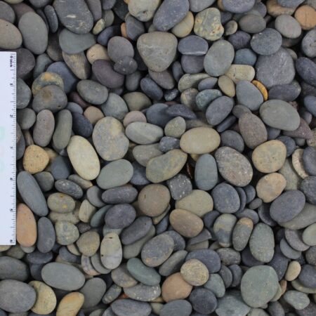 Mixed Mexican Beach Pebble Buttons
