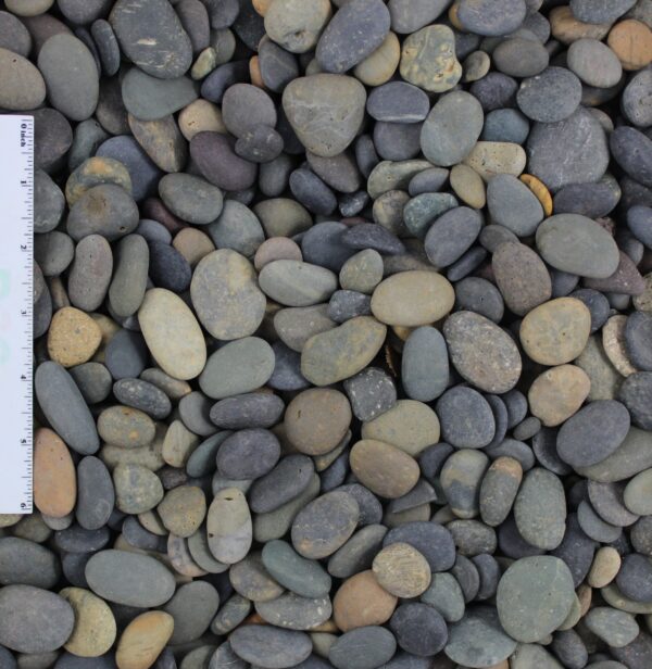 Mixed Mexican Beach Pebble Buttons