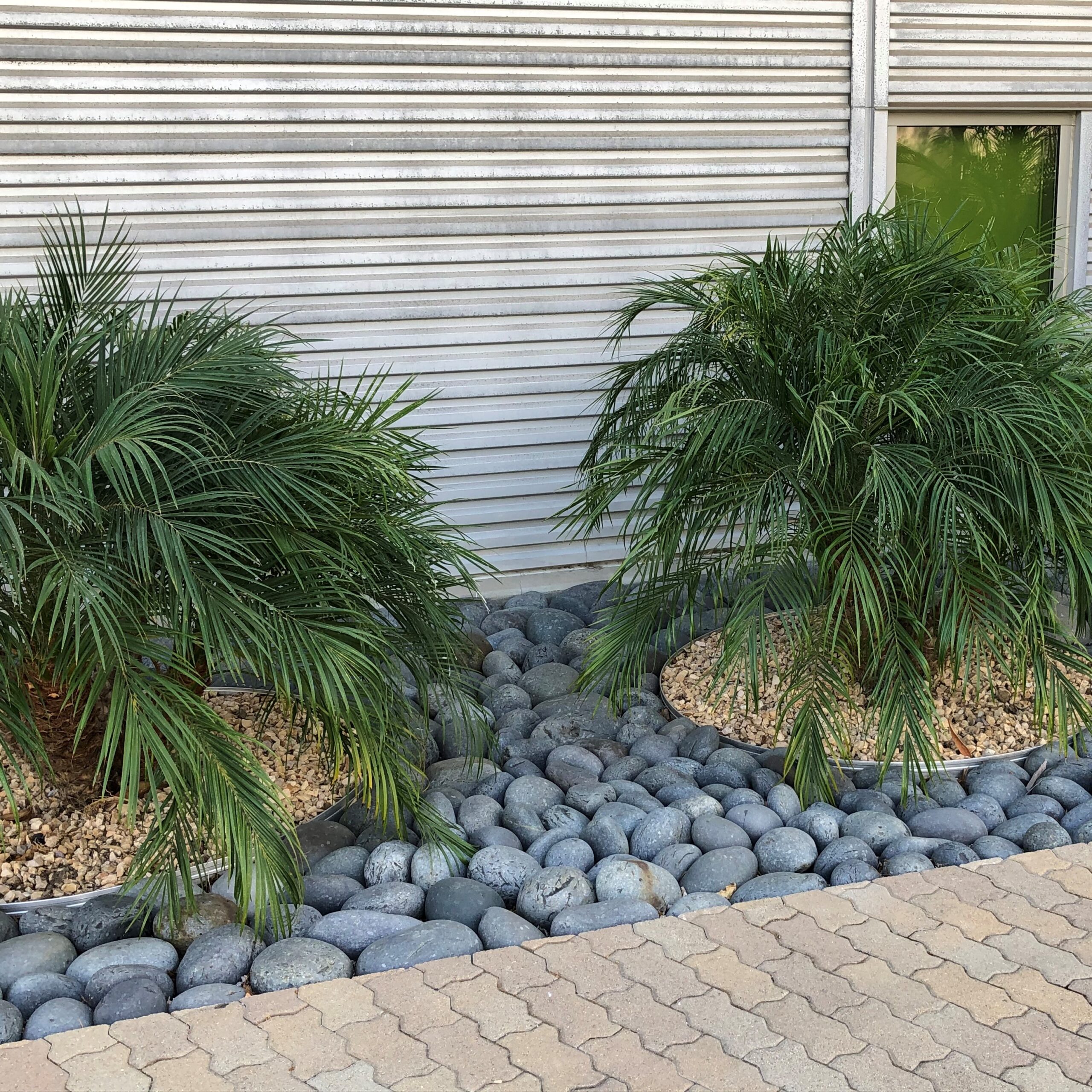 Artificial Turf