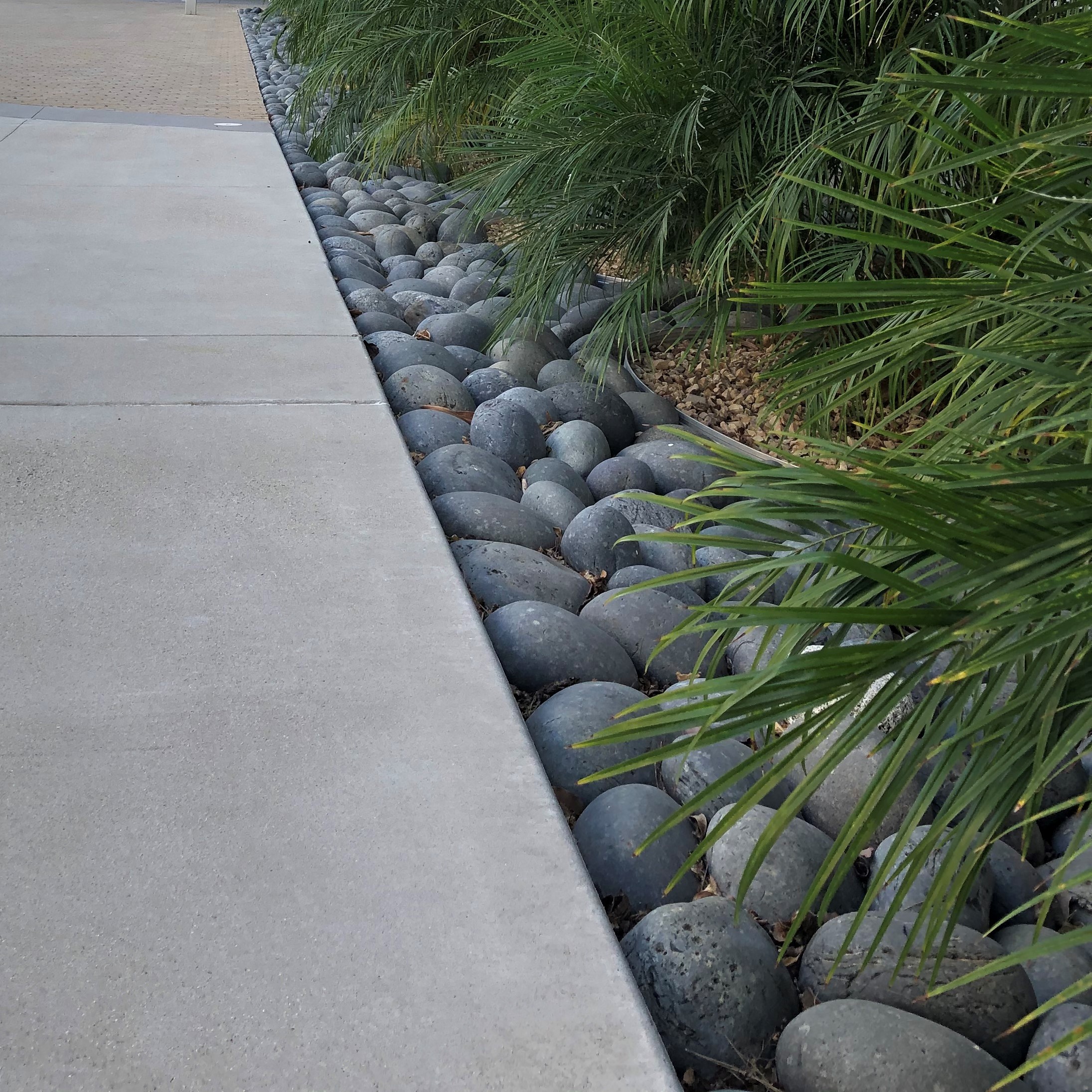 Xeriscaping